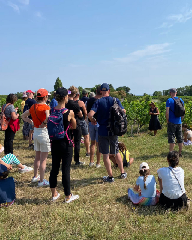 BALADE COMMENTEE DANS LE VIGNOBLE - DEGUSTATION 
