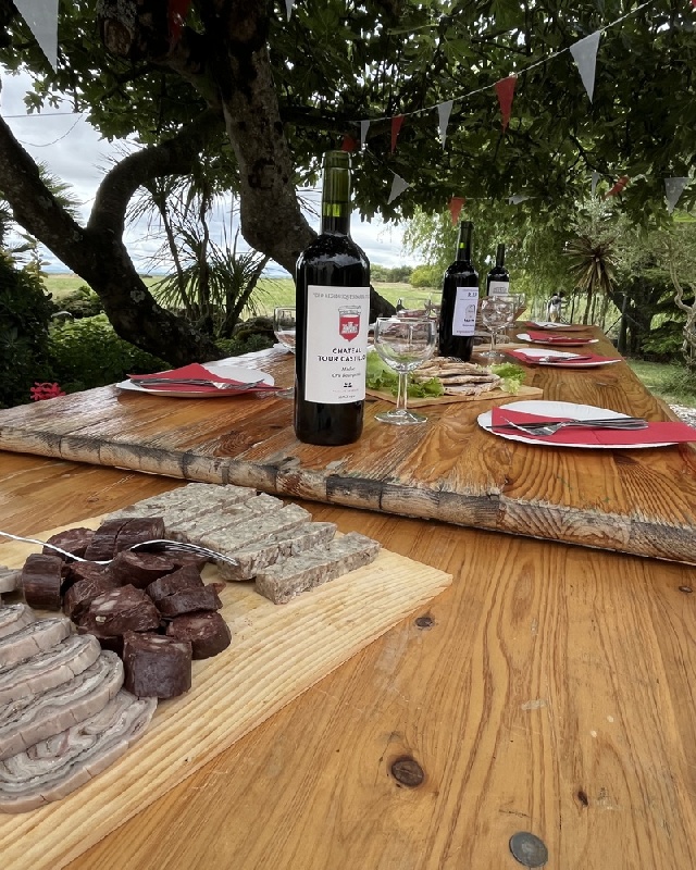 BALADE COMMENTEE DANS LE VIGNOBLE - CASSE-CROUTE